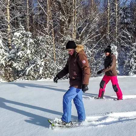 Pihlaja By Interhome *