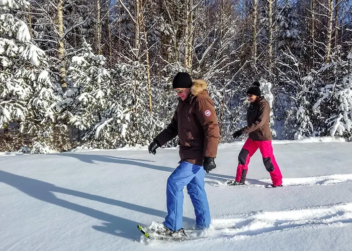 Pihlaja By Interhome *